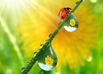 水滴角測(cè)試儀 水滴角測(cè)試儀